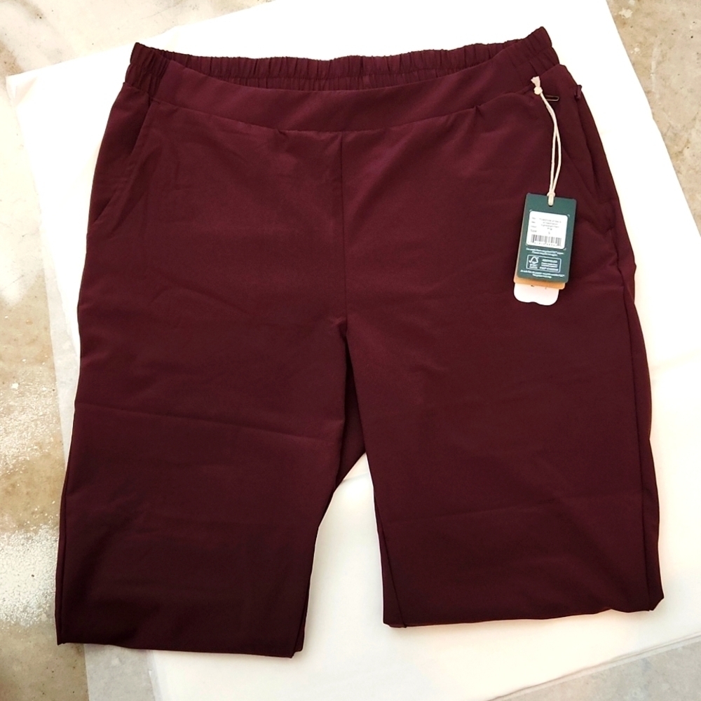 NWT Tentree Lightweight Destination Travel Pant